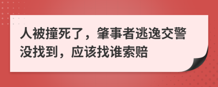 人被撞死了，肇事者逃逸交警没找到，应该找谁索赔