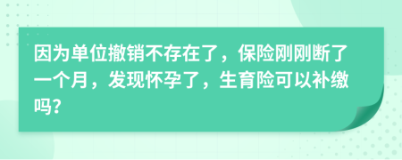 因为单位撤销不存在了，保险刚刚断了一个月，发现怀孕了，生育险可以补缴吗？