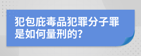 犯包庇毒品犯罪分子罪是如何量刑的？
