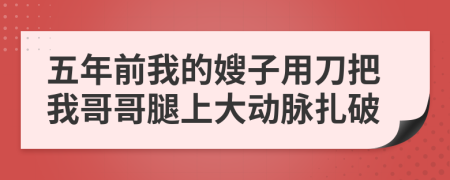 五年前我的嫂子用刀把我哥哥腿上大动脉扎破