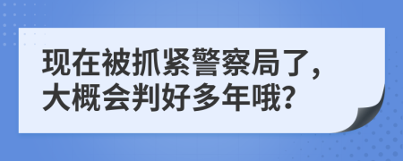 现在被抓紧警察局了,大概会判好多年哦？