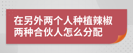 在另外两个人种植辣椒两种合伙人怎么分配