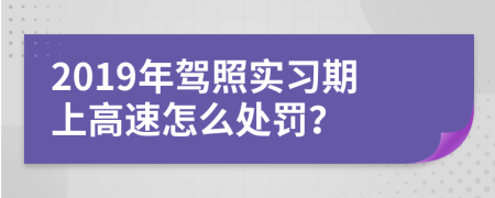 2019年驾照实习期上高速怎么处罚？