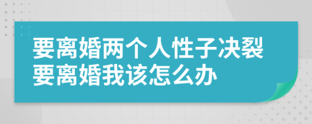 要离婚两个人性子决裂要离婚我该怎么办