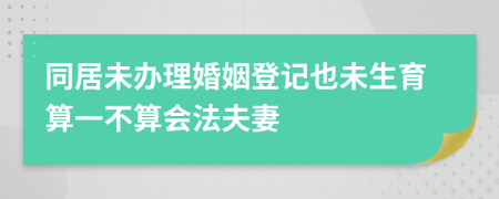 同居未办理婚姻登记也未生育算一不算会法夫妻