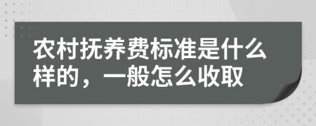 农村抚养费标准是什么样的，一般怎么收取