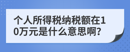 个人所得税纳税额在10万元是什么意思啊？