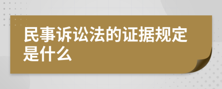 民事诉讼法的证据规定是什么