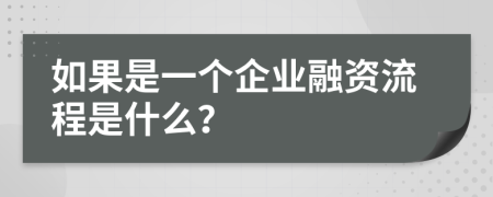如果是一个企业融资流程是什么？