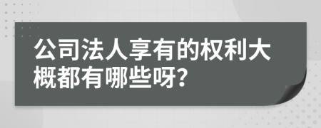 公司法人享有的权利大概都有哪些呀？