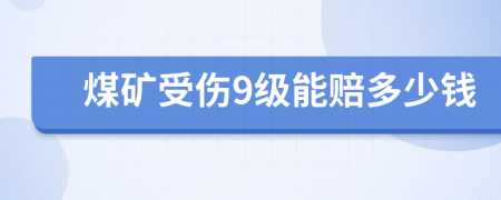 煤矿受伤9级能赔多少钱