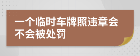 一个临时车牌照违章会不会被处罚