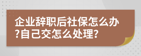 企业辞职后社保怎么办?自己交怎么处理？