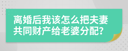 离婚后我该怎么把夫妻共同财产给老婆分配？