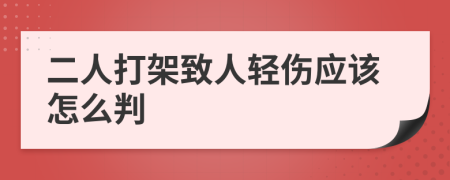 二人打架致人轻伤应该怎么判