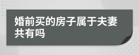 婚前买的房子属于夫妻共有吗