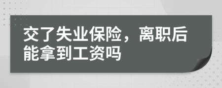 交了失业保险，离职后能拿到工资吗