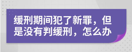 缓刑期间犯了新罪，但是没有判缓刑，怎么办