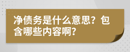 净债务是什么意思？包含哪些内容啊？