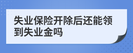 失业保险开除后还能领到失业金吗