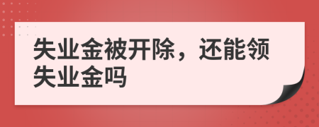 失业金被开除，还能领失业金吗