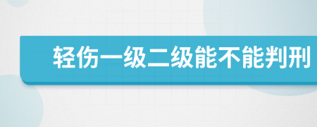 轻伤一级二级能不能判刑