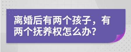 离婚后有两个孩子，有两个抚养权怎么办？