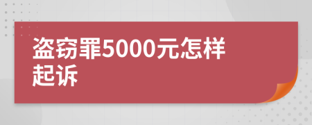 盗窃罪5000元怎样起诉