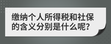 缴纳个人所得税和社保的含义分别是什么呢？