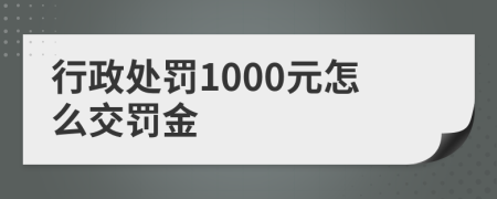 行政处罚1000元怎么交罚金