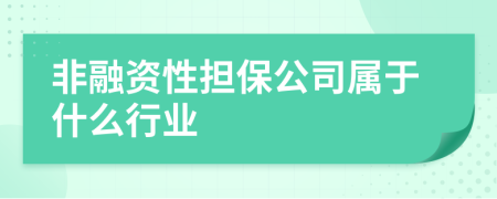 非融资性担保公司属于什么行业