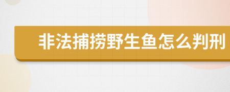 非法捕捞野生鱼怎么判刑