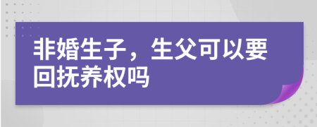 非婚生子，生父可以要回抚养权吗