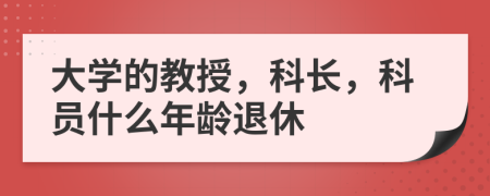 大学的教授，科长，科员什么年龄退休