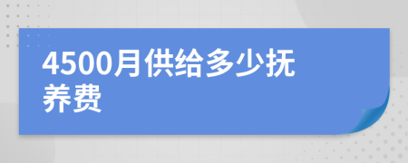 4500月供给多少抚养费