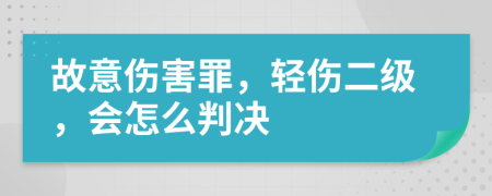 故意伤害罪，轻伤二级，会怎么判决