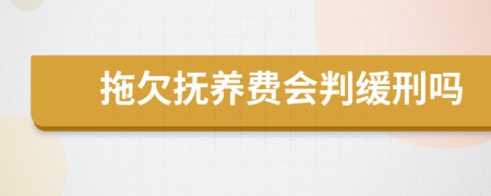 拖欠抚养费会判缓刑吗