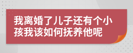 我离婚了儿子还有个小孩我该如何抚养他呢