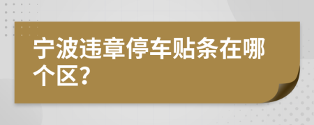 宁波违章停车贴条在哪个区？