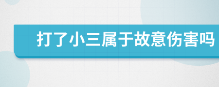 打了小三属于故意伤害吗