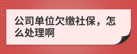 公司单位欠缴社保，怎么处理啊