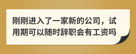 刚刚进入了一家新的公司，试用期可以随时辞职会有工资吗