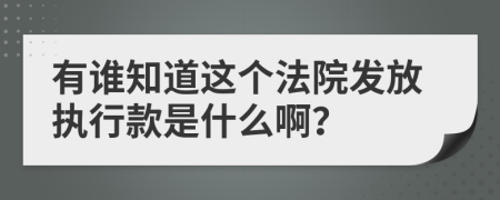 有谁知道这个法院发放执行款是什么啊？