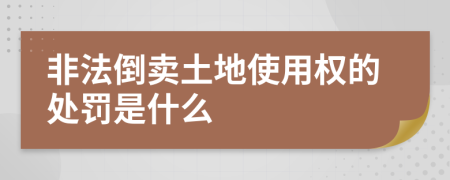 非法倒卖土地使用权的处罚是什么