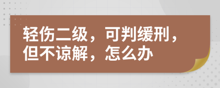 轻伤二级，可判缓刑，但不谅解，怎么办