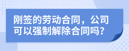 刚签的劳动合同，公司可以强制解除合同吗？