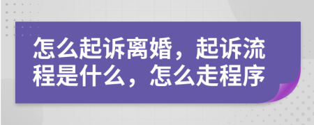 怎么起诉离婚，起诉流程是什么，怎么走程序