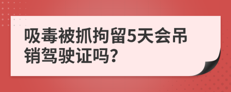 吸毒被抓拘留5天会吊销驾驶证吗？