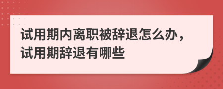 试用期内离职被辞退怎么办，试用期辞退有哪些