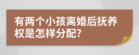 有两个小孩离婚后抚养权是怎样分配?